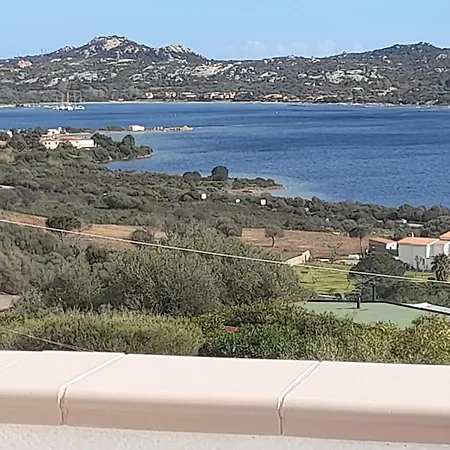 Ginepro Olbia