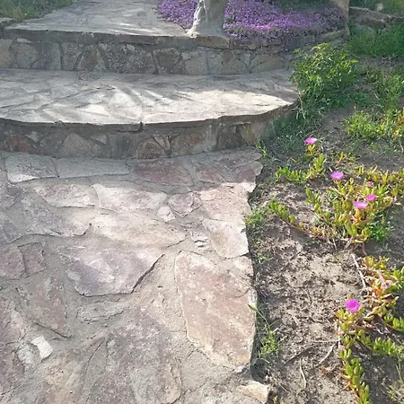 Ginepro أولبيا